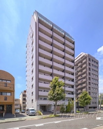 プロシード金山