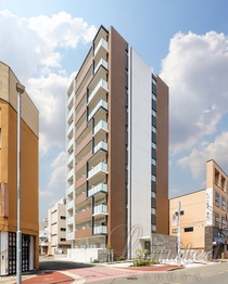 ダイアモンドムーン